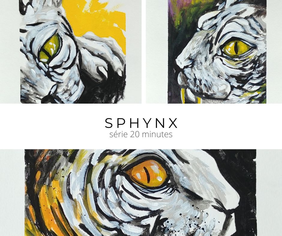 Sphynx chats