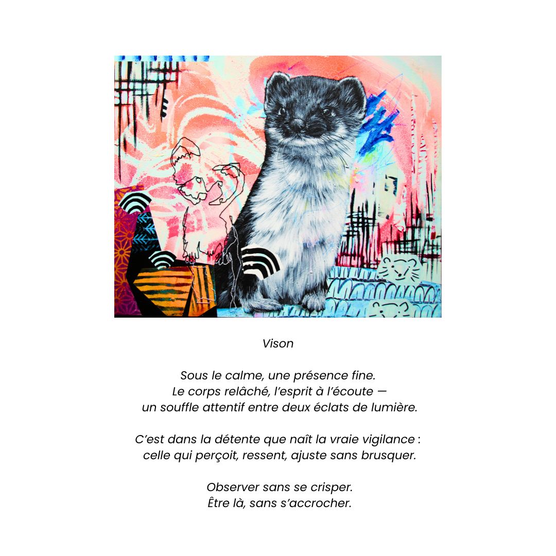 Cartes de souhaits artistiques – Collection Animalière du Parc Kilkenny