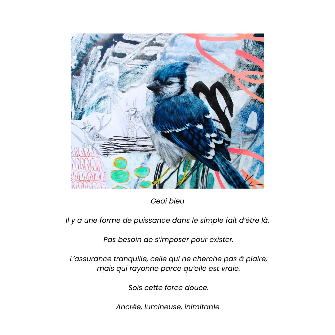 Cartes de souhaits artistiques – Collection Animalière du Parc Kilkenny