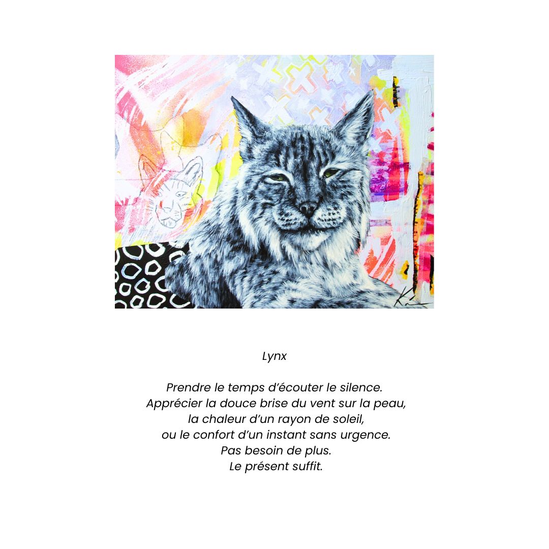 Cartes de souhaits artistiques – Collection Animalière du Parc Kilkenny