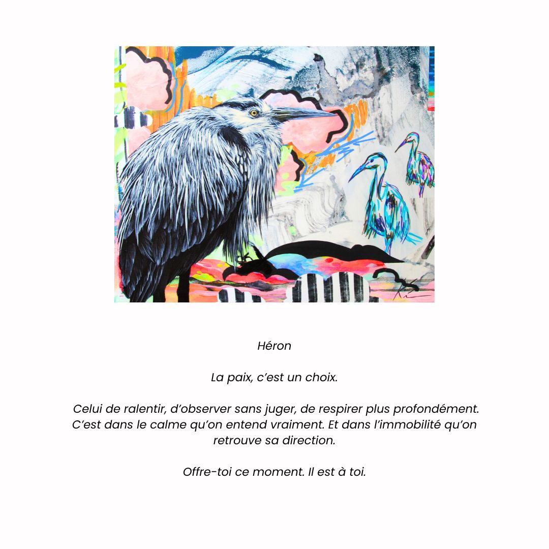 Cartes de souhaits artistiques – Collection Animalière du Parc Kilkenny
