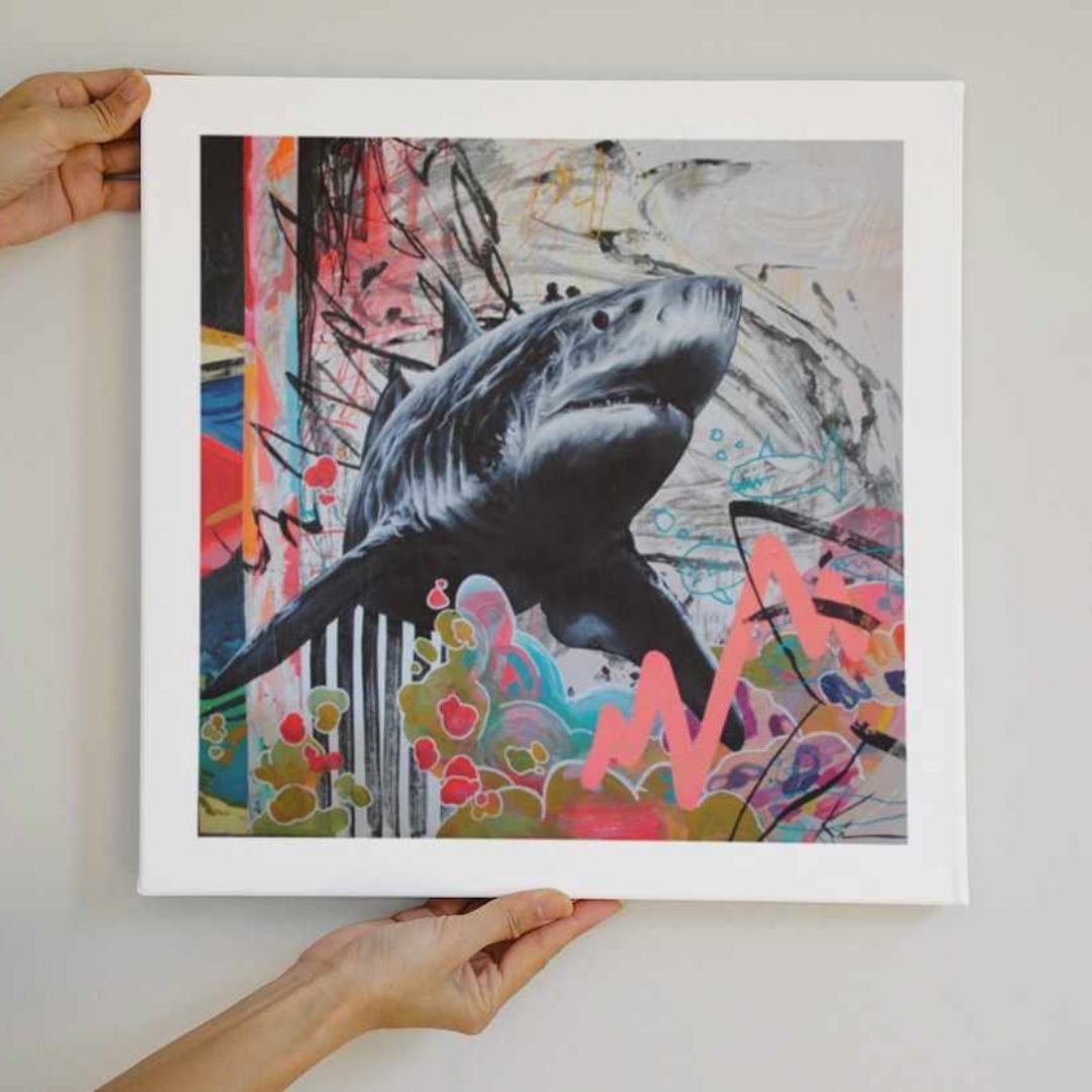 print requin street art