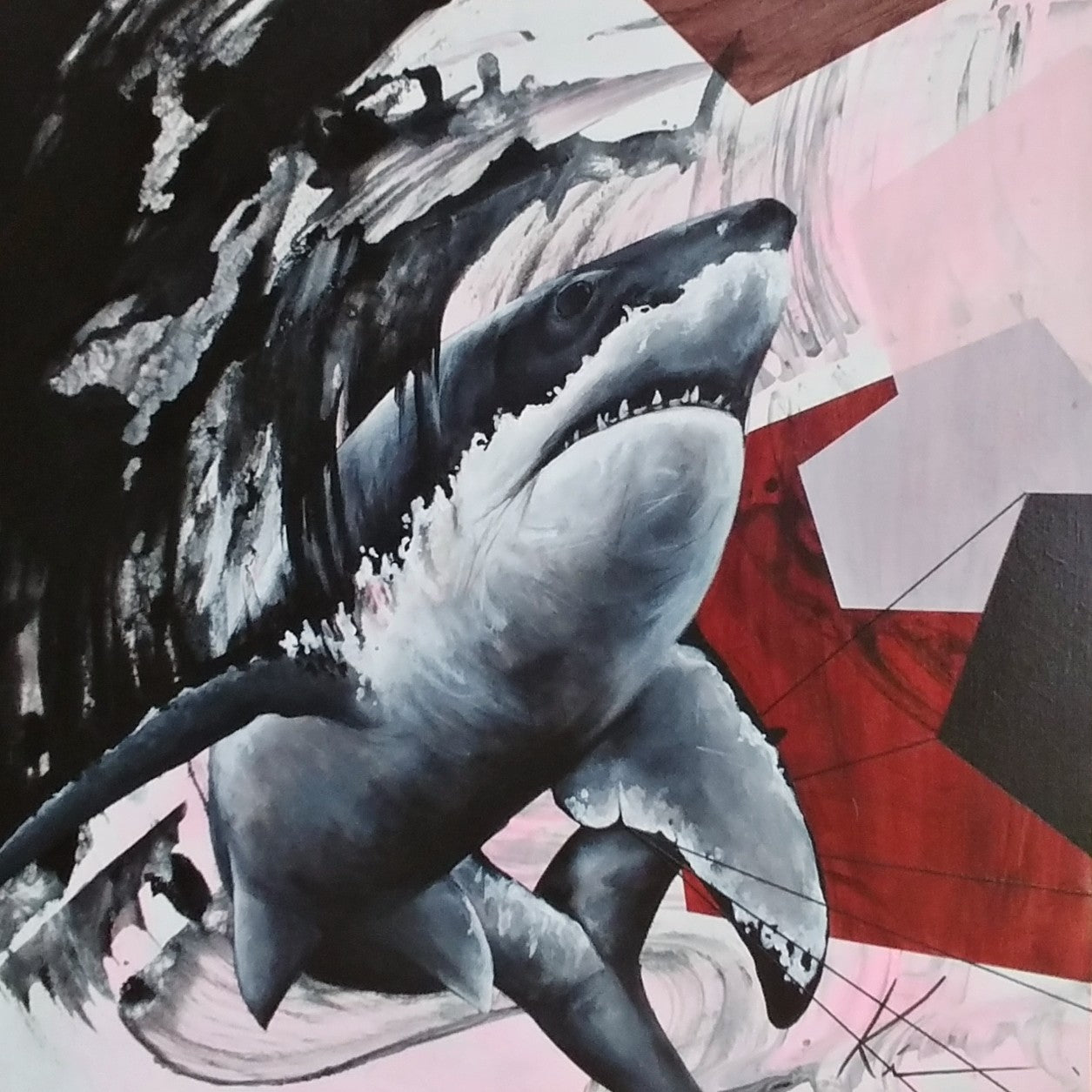 requin rose et pentagones ki artiste